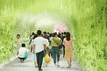 和海田园第 63 张图片