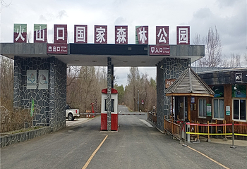 火山口国家森林公园第 21 张图片