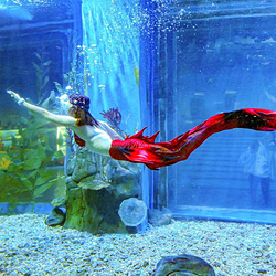 海之语海洋世界