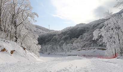 神农架中和国际滑雪场第 15 张图片