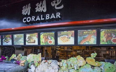 三亚蜈支洲岛珊瑚酒店-珊瑚吧第 11 张图片