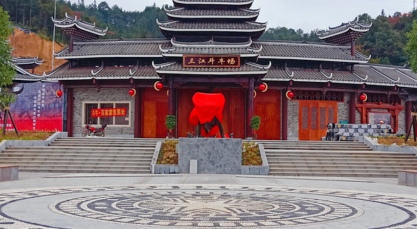 三江斗牛场-《牛战三江》