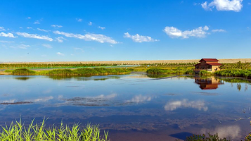 克拉玛依湖湿地