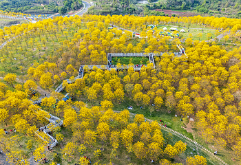 青秀山第 5 张图片