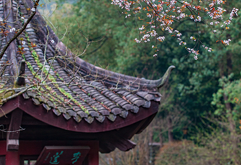 华岩寺第 11 张图片