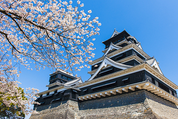 熊本城第 2 张图片