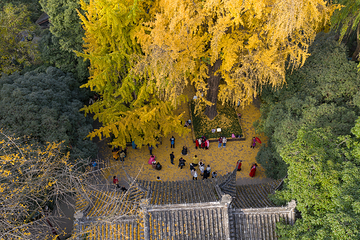 眉山三苏祠博物馆第 5 张图片