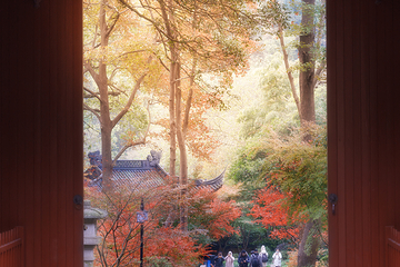 灵隐飞来峰景区第 160 张图片