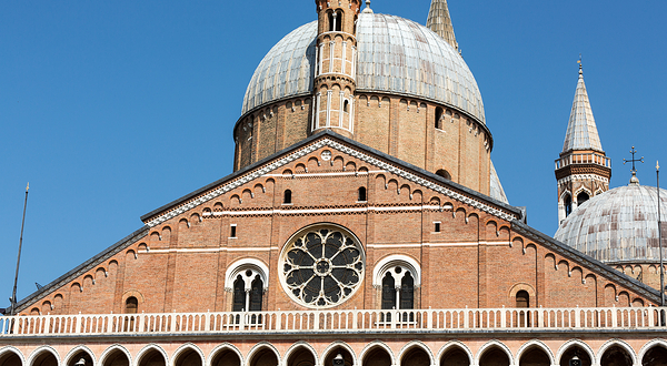 升天圣母主教座堂