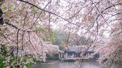 太湖佳绝处第 1 张图片