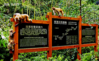 武当山风景区第 121 张图片