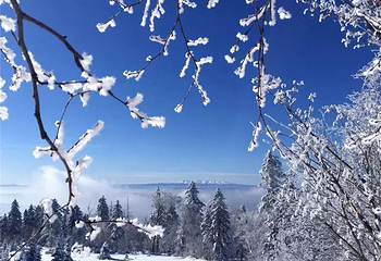 长白山仙峰雪岭景区第 8 张图片