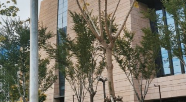 西宁市市民中心冰球馆·冰壶馆