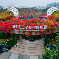 海花岛珍奇特色植物园