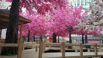 金彩盘州高铁乐园