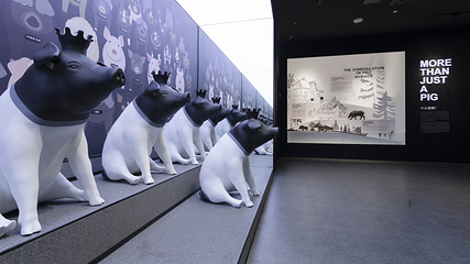 熊猫猪猪两头乌国际牧场第 69 张图片