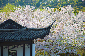 香山景区第 28 张图片