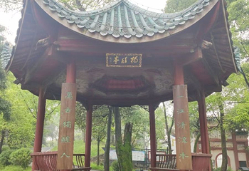 屈子文化园第 55 张图片