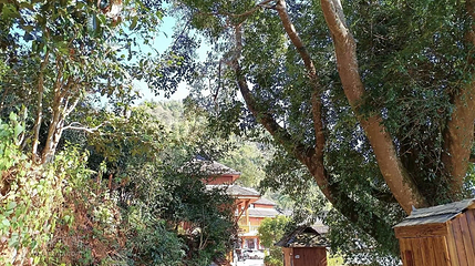 芒景村第 2 张图片