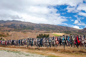 卡德罗纳胸罩围栏