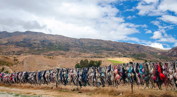 卡德罗纳胸罩围栏