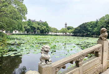 普济禅寺第 17 张图片