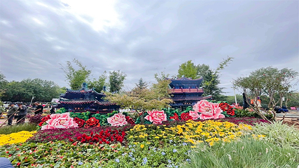 中国国花园第 66 张图片