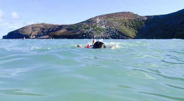 欧胡岛潜水体验