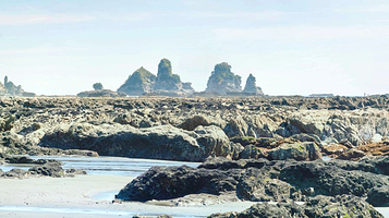 Motukiekie Beach Walk