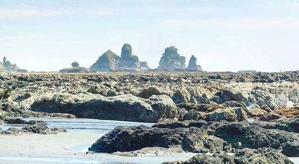 Motukiekie Beach Walk