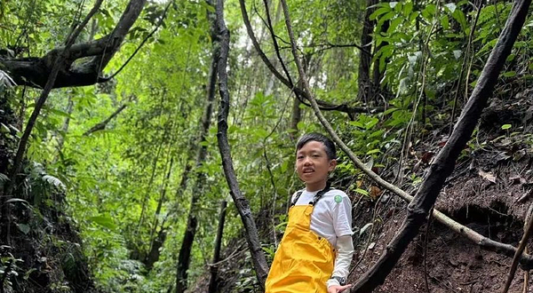 云南泰和谷雨林徒步