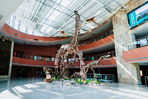 河源恐龙博物馆