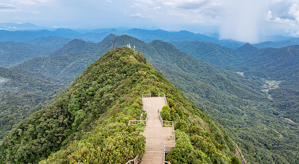尖峰岭国家森林公园