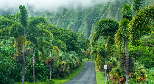 火玛卢霞植物园