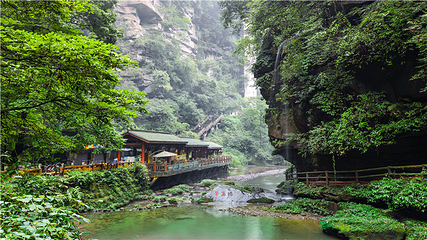 碧峰峡景区第 72 张图片
