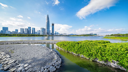 深圳湾公园-运动公园第 1 张图片