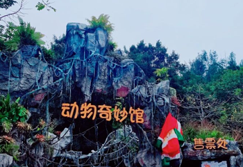 动物奇妙馆第 1 张图片