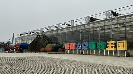 旅顺太空植物王国第 3 张图片