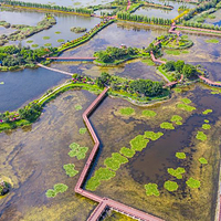 石屏异龙湖国家湿地公园