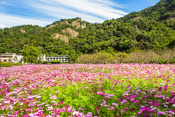 雁荡山第 3 张图片