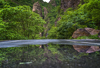 梨木台第 15 张图片
