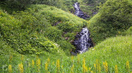 长白山南景区第 4 张图片