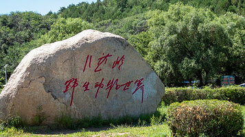 八达岭野生动物世界