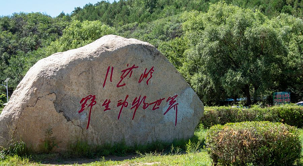 八达岭野生动物世界