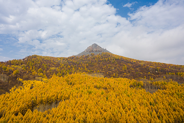 阿尔山白狼峰景区第 52 张图片