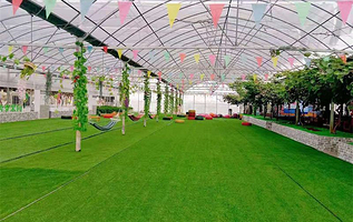 三亩良铺四季果园