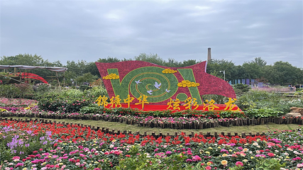 中国国花园第 57 张图片