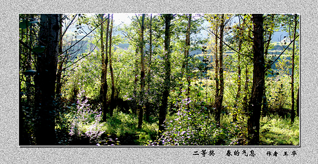 翠枫山自然风景区第 48 张图片