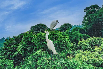 云顶水乡旅游度假区第 25 张图片