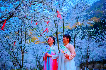 高岚大峡谷旅游度假区第 19 张图片